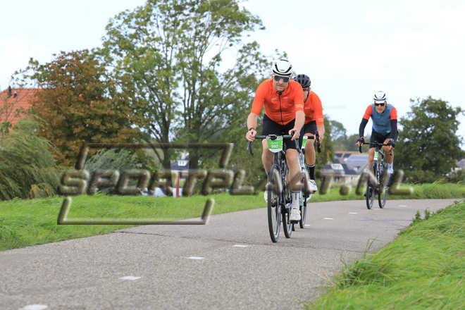 D6602.jpg